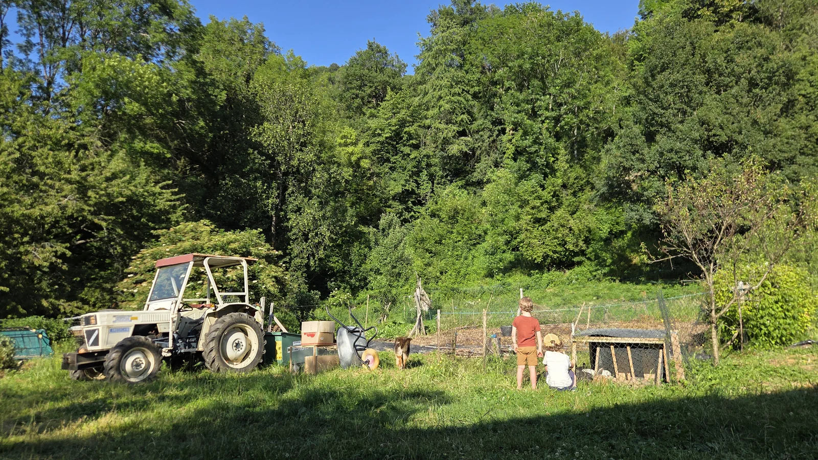 Le potager de Marie-Laure en lisière de forêt : vieux tracteur à gauche, planches de cultures clôturées, quelques personnes qui s'affairent au milieu, versant boisé en arrière-plan
