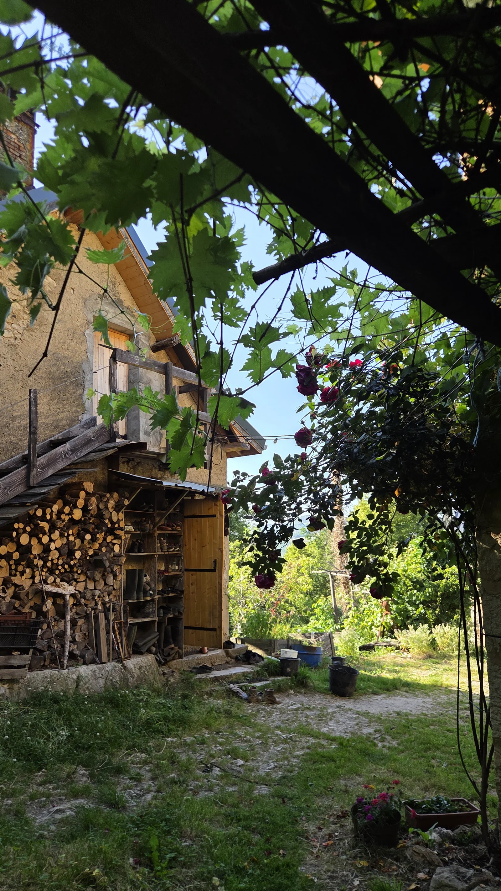 La maison de Marie-Laure vue depuis la cour : façade en pisé, pergola de vigne, grand tas de bûches rangées le long du mur, fleurs et jardin tout autour