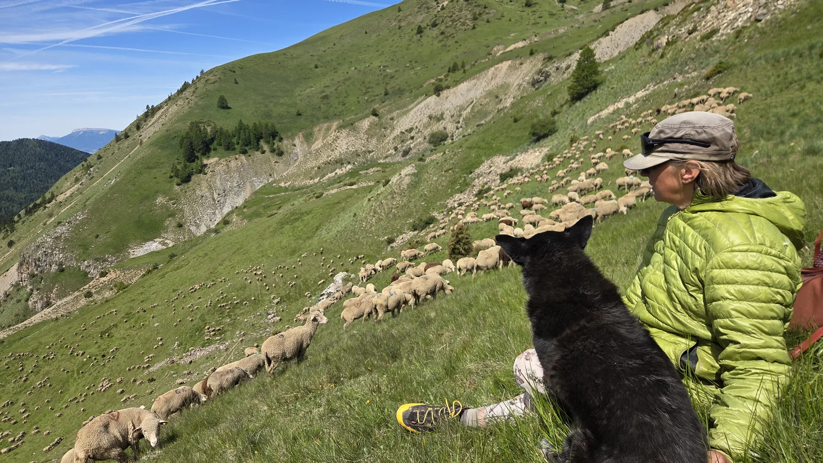 Christèle assise dans l'herbe en doudoune verte, son chien noir à côté d'elle, tous deux regardant le troupeau qui broute en contrebas