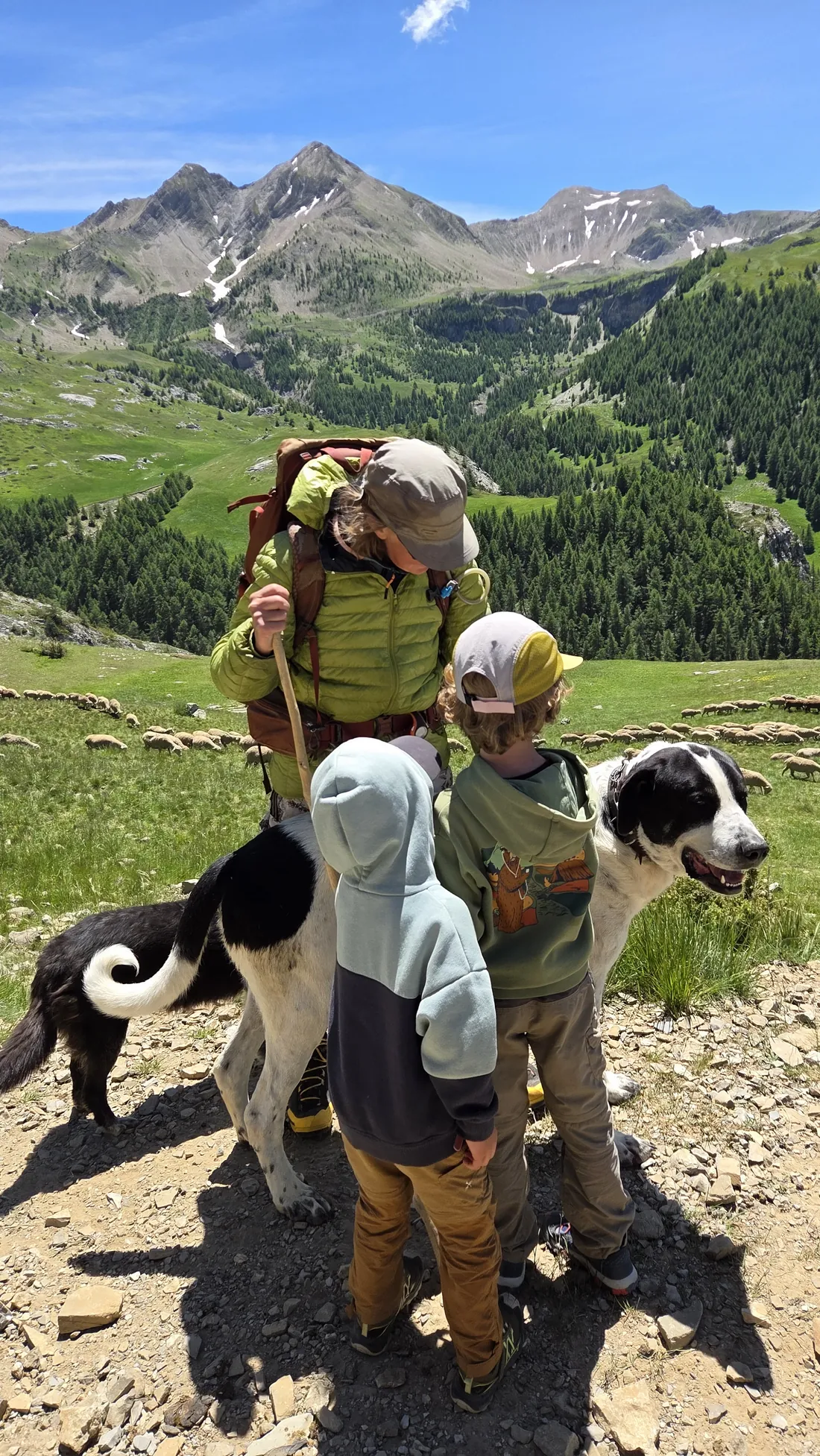 Colin et Léon sur la draille avec Christèle de dos (sac à dos, bâton), un grand patou noir et blanc et un chien de conduite, montagnes derrière