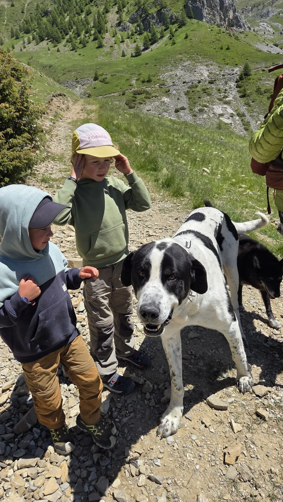 Les deux enfants à côté d'un grand patou noir et blanc qui vient chercher des caresses sur un sentier caillouteux d'alpage