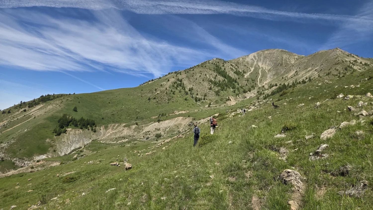 Deux randonneurs avec sacs à dos montent un versant d'alpage verdoyant de la vallée de la Rouanne, sous des crêtes minérales et un grand ciel bleu