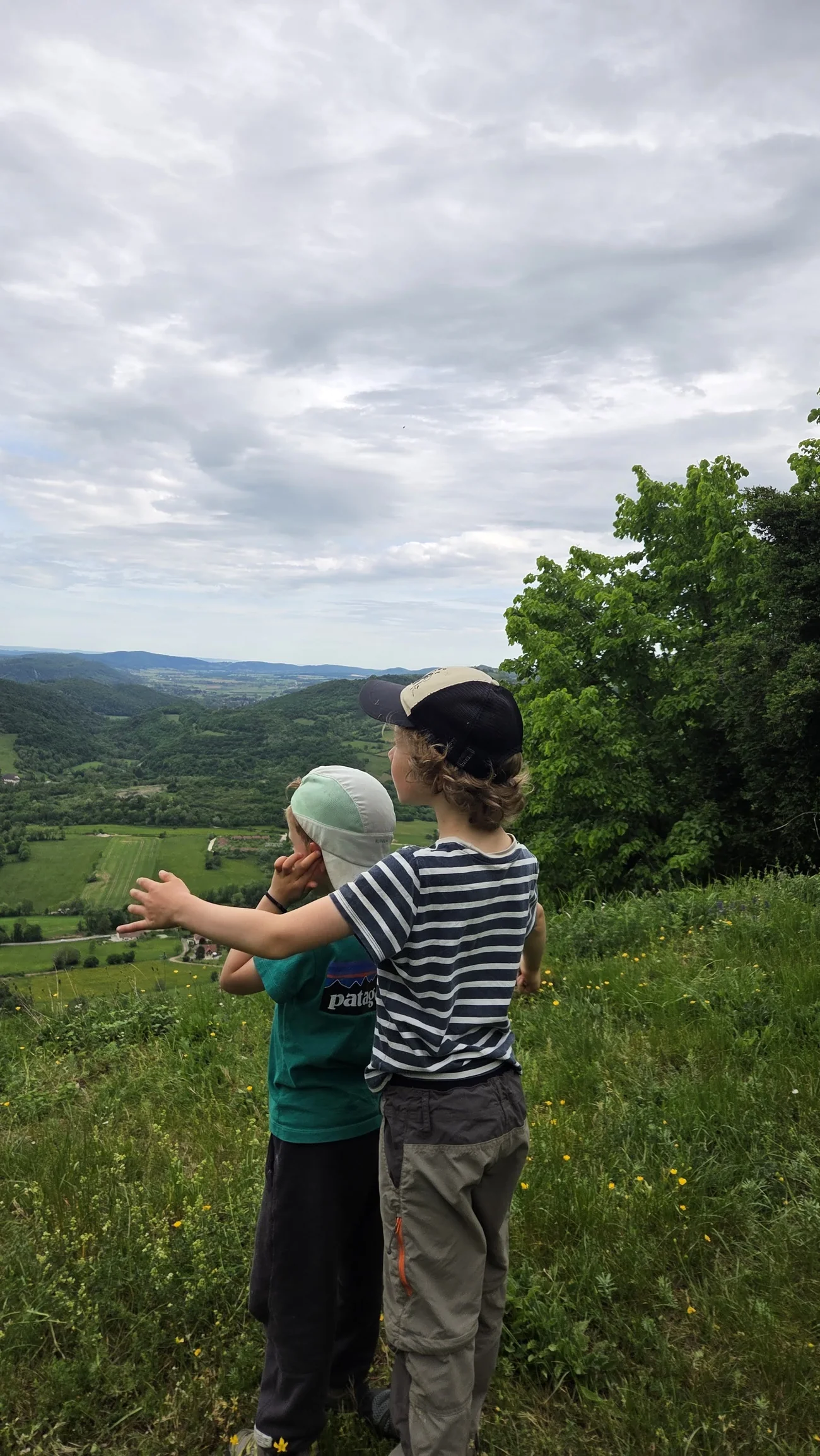 Nos deux garçons de dos, en haut d'une colline, contemplant une large vallée verdoyante.