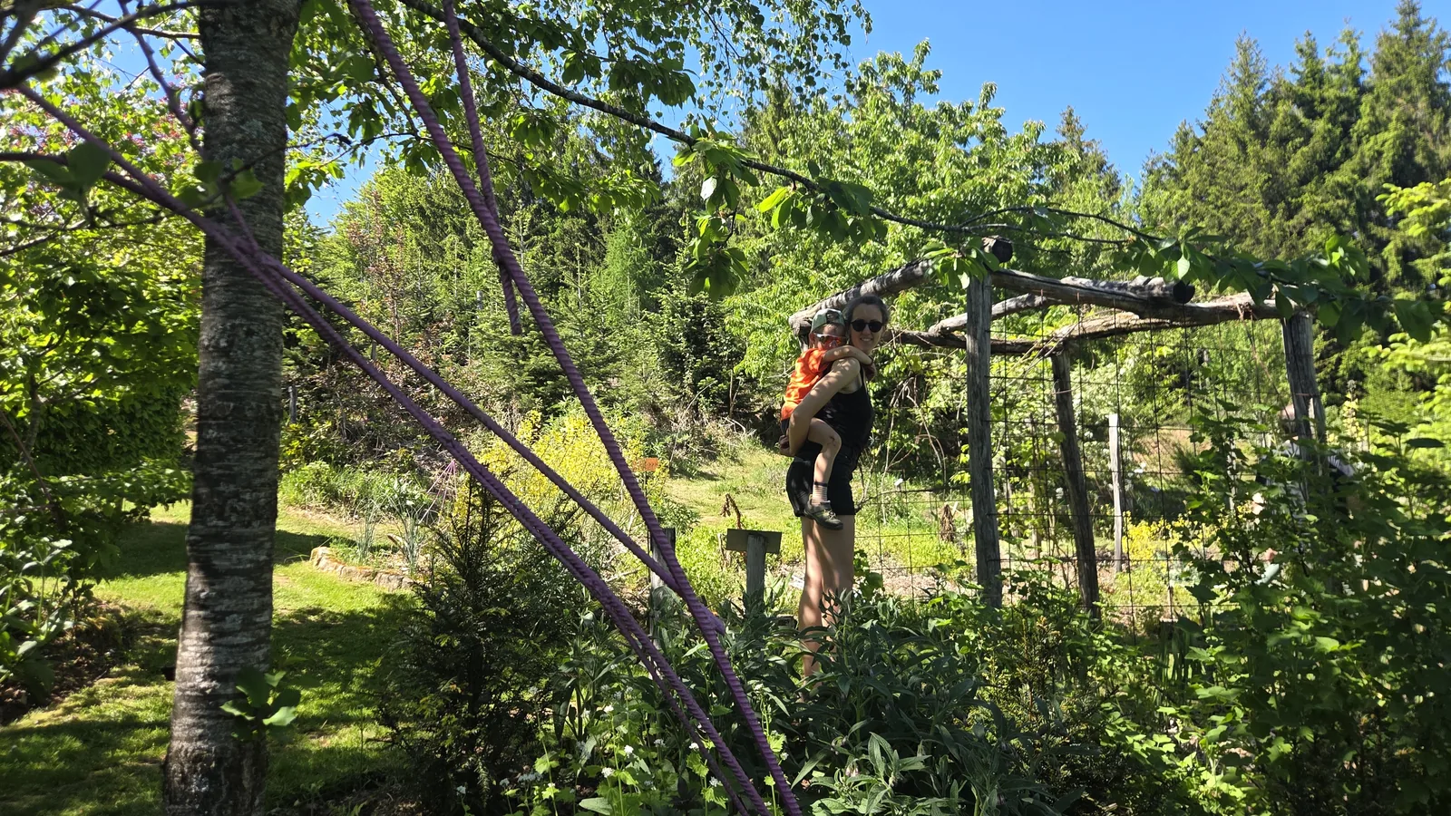 Personne suspendue en train de grimper sur une structure en bois et branches au milieu du jardin, végétation dense et ciel bleu autour