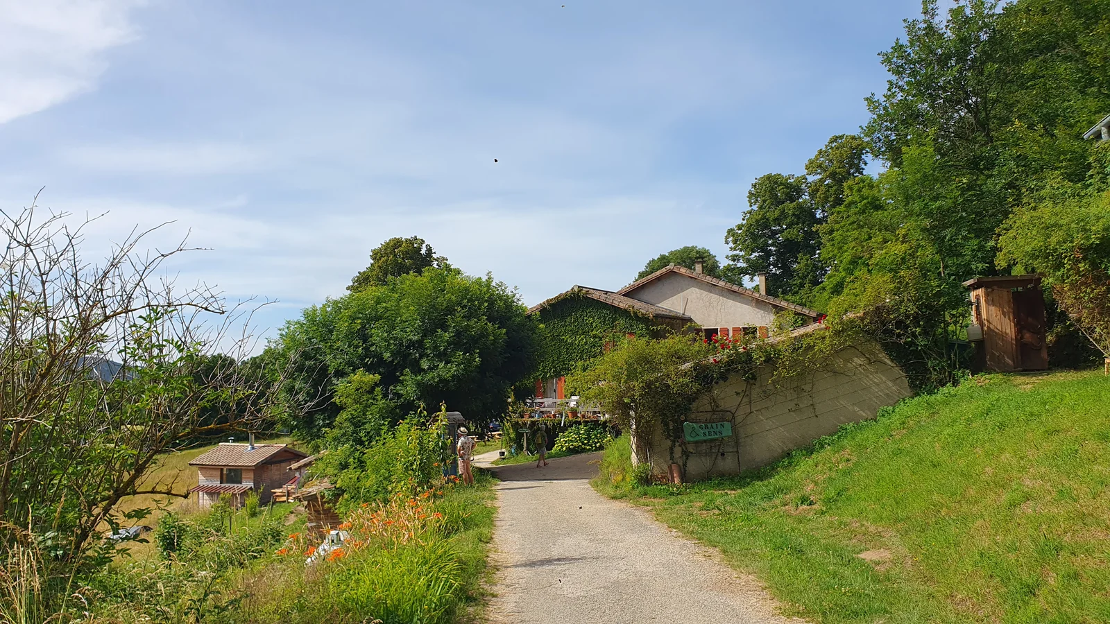 Chemin de gravier qui descend vers l'écolieu entre les arbres, avec un petit panneau « Grain & Sens » accroché à un muret