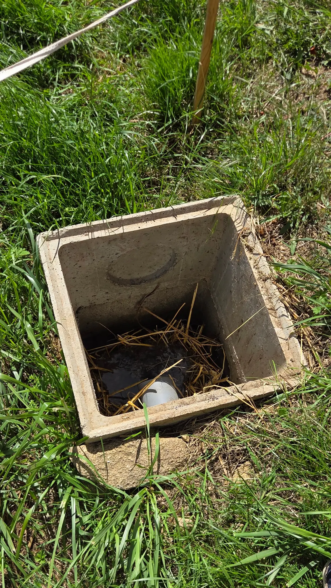 Petit bac en béton dans l'herbe rempli de paille, premier filtre qui capture les graisses des eaux grises avant les tranchées