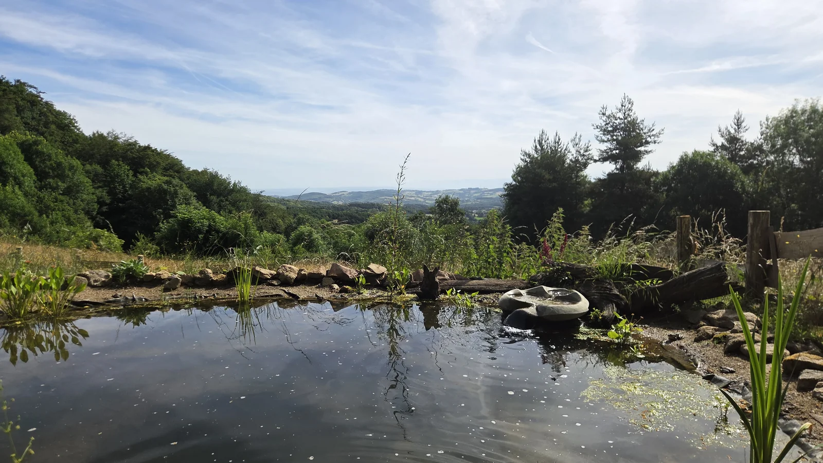 Petite mare naturelle au premier plan avec des plantes aquatiques, ouvrant sur un grand paysage de collines boisées d'Ardèche sous un ciel de nuages légers
