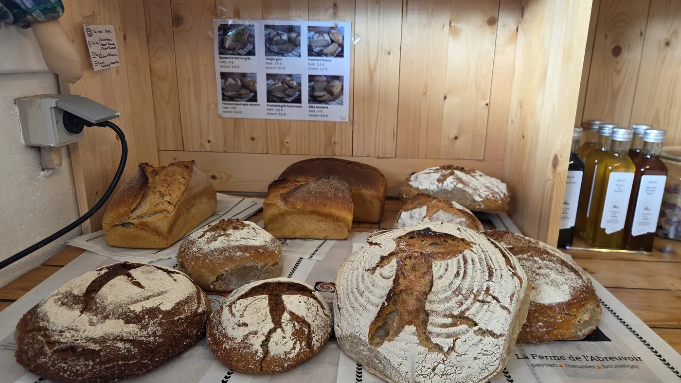 Présentoir en bois de l'épicerie avec plusieurs pains au levain bien colorés, étiquettes avec les références « Ferme de l'Abreuvoir » au premier plan, bouteilles d'huile à droite