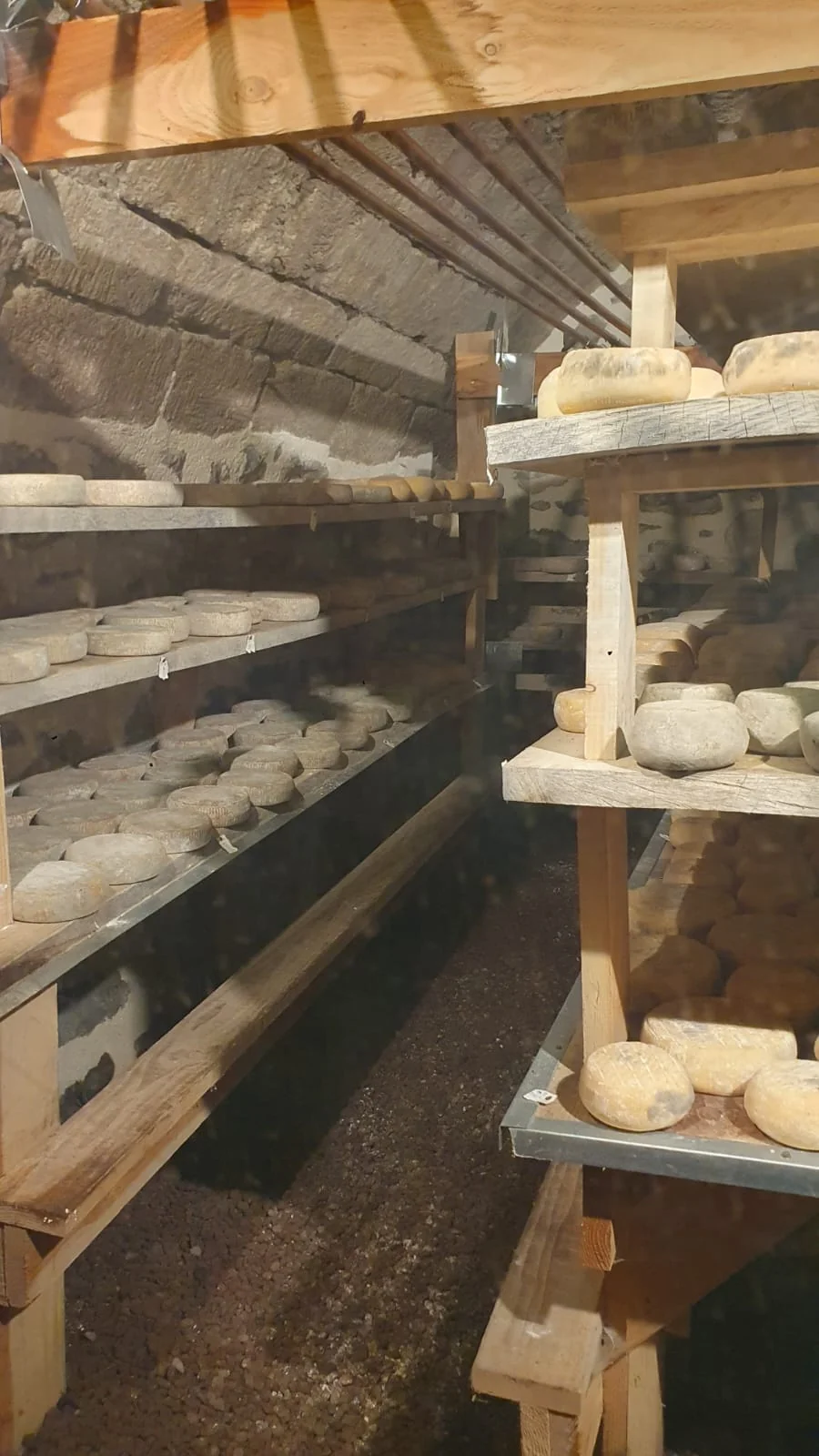 La cave d'affinage de la Ferme de la Molède : des tommes sur des étagères en bois, murs en pierre et sol en terre