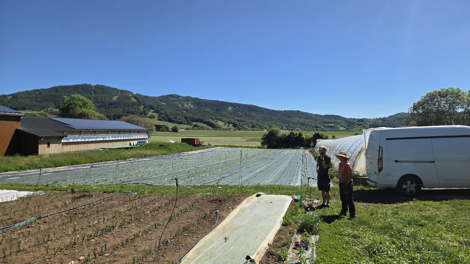 Deux personnes discutant debout près d'un van blanc, au milieu des planches de culture et des tunnels, montagnes au fond