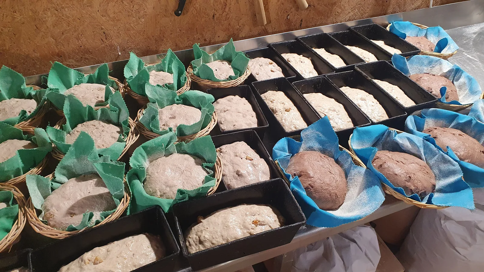 Des pâtons en banneton garni de tissu vert et bleu, et d'autres alignés en moules noirs
