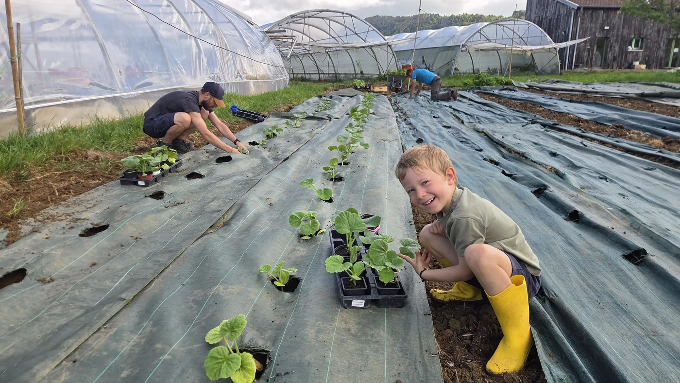 Léon en bottes jaunes, accroupi sous une serre, qui sourit devant les jeunes plants qu'il vient d'installer dans les bandes paillées