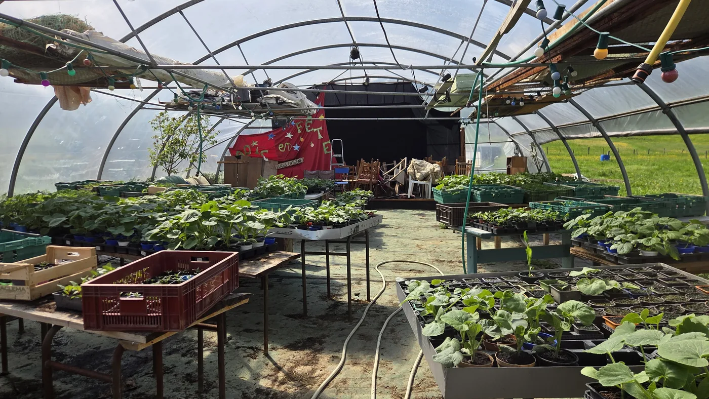 Intérieur d'une serre tunnel chargée de plants en bacs et godets : courges, salades, tomates, plein de jeunes pousses prêtes à être repiquées