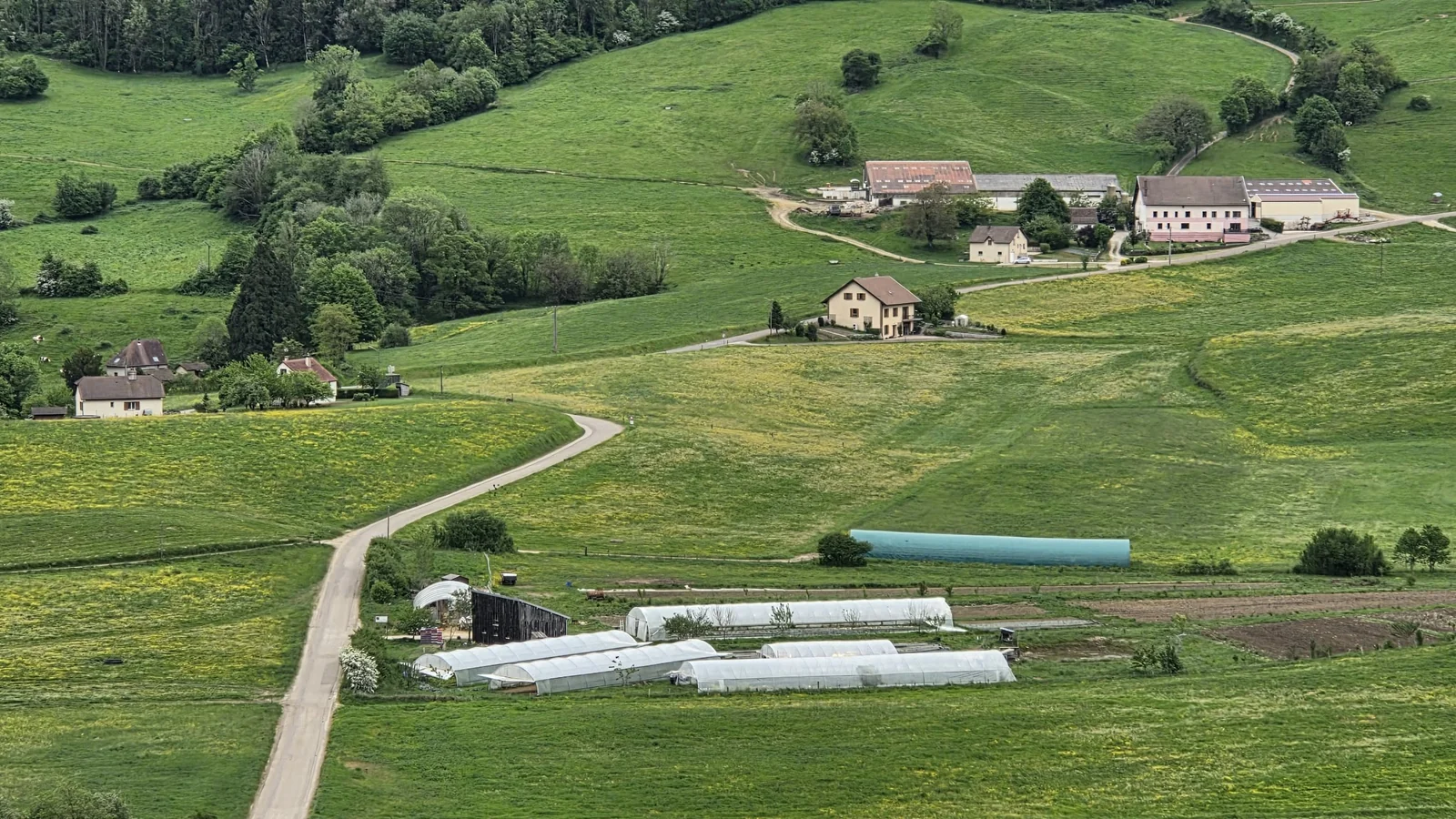 Vue aérienne sur la vallée : au premier plan, les serres tunnel du Radis qui pique alignées sur l'unique replat, route en serpent, fermes et collines boisées tout autour