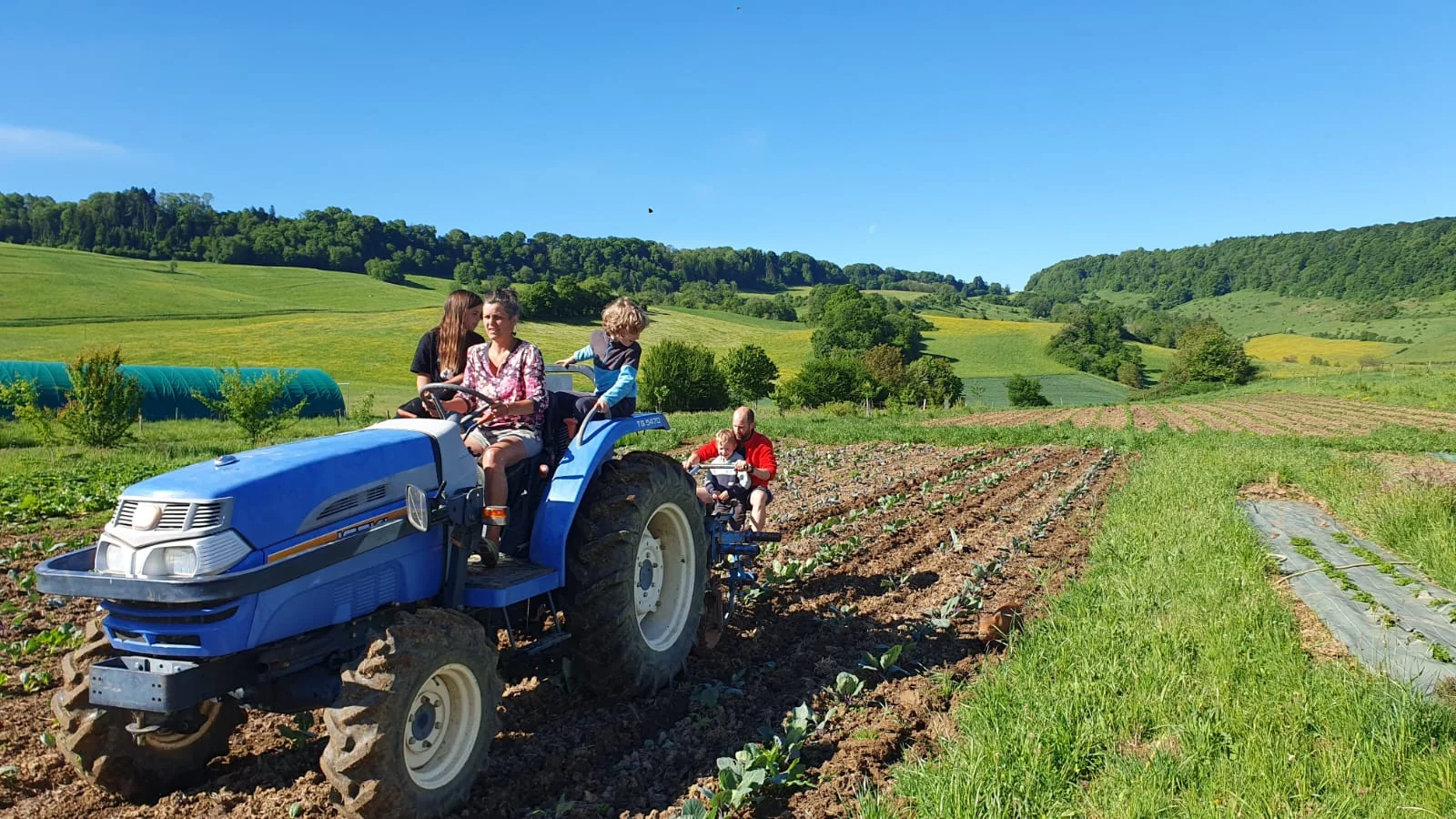 Béné au volant du tracteur bleu avec Louna debout à ses côtés et Léon assis à côté d'elle, un autre adulte qui buttoir les rangs à l'arrière du tracteur, dans le champ de choux avec collines en arrière-plan