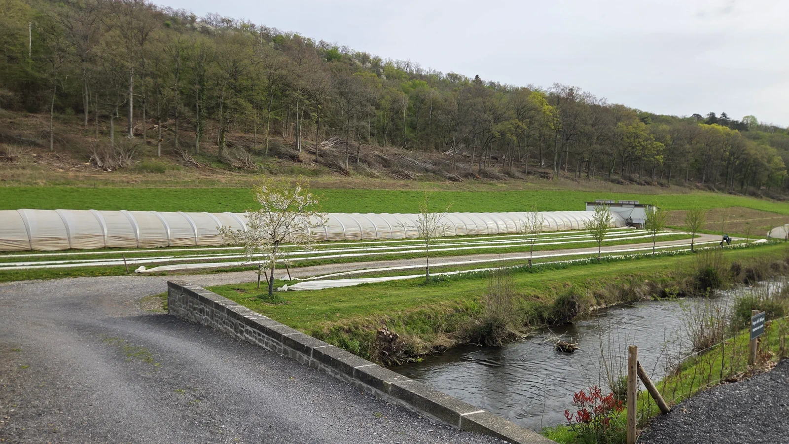 Vue d'ensemble du site du Verger de la Molignée : serres tunnel alignées en contrebas, rivière au premier plan, coteau boisé en arrière-plan